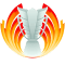 AFC Asian Cup