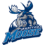 Manitoba Moose