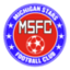 Michigan Stars