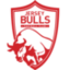 Jersey Bulls