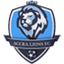 Accra Lions