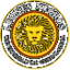 Leones Negros