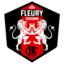 FC Fleury 91