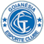 Goianesia