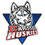 Kassel Huskies