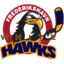 Frederikshavn White Hawks