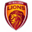 Bulleen Lions