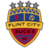 Flint City Bucks