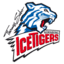 Nuernberg Ice Tigers