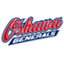 Oshawa Generals