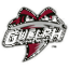 Guelph Storm