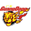 Guangdong Southern Tigers