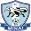 FC Minaj