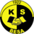 Besa