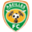 Abeilles