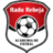 Academia Radu Rebeja U19
