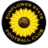 Sunflower State FC