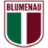 Blumenau Esporte Clube