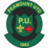 Peamount United W