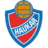 Haukar