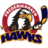 Frederikshavn White Hawks