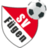 SV Fuegen