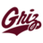 Montana Grizzlies