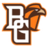 Bowling Green Falcons