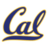 California Golden Bears