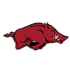 Arkansas Razorbacks