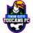 Twin City Toucans
