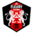 FC Fleury 91 W
